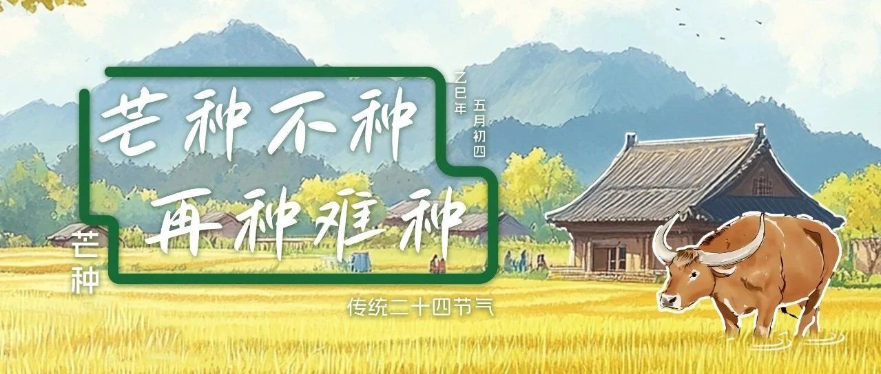 芒种不种 再种难种