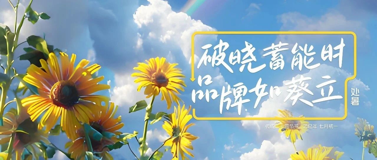 处暑|葵花知时低头蓄力，你的品牌还在烈日暴走？